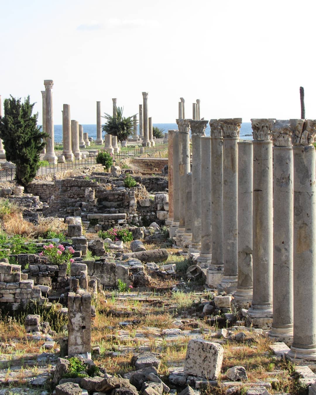 al-mina-archaeological-site-tyre-lebanon-traveler