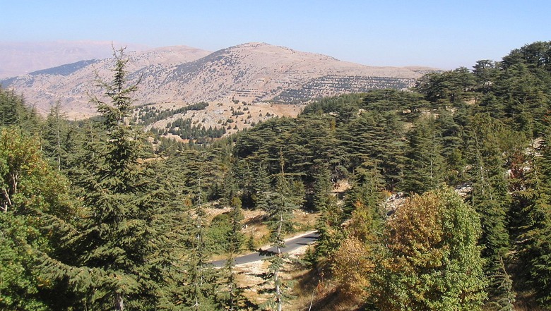 mini-guide-to-barouk-what-to-do-lebanon-traveler