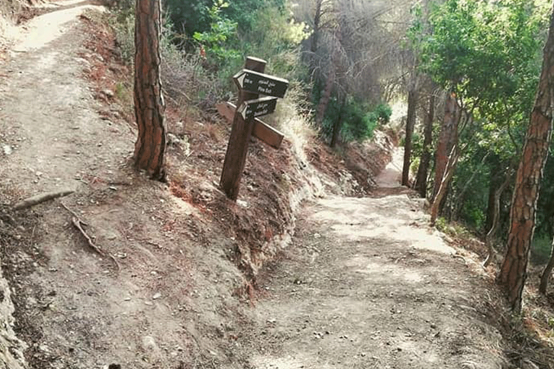 bentael-nature-reserve-lebanon-traveler