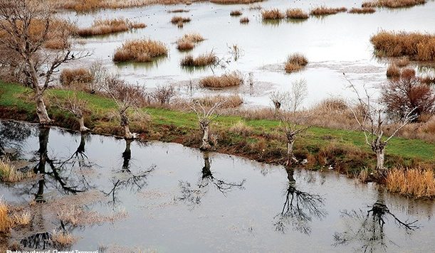 Nature-kfar-zabad-lebanon-traveler