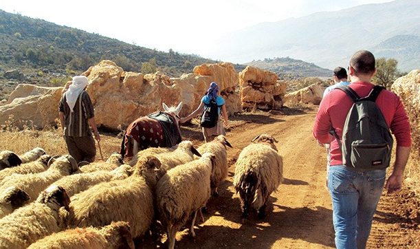 hiking-lebanon-traveler