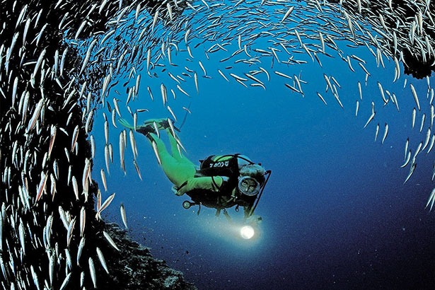 diving-lebanon-traveler