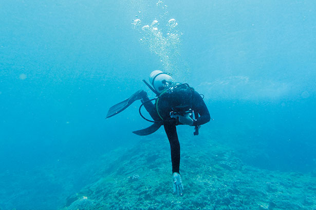 Diving-lebanon-traveler