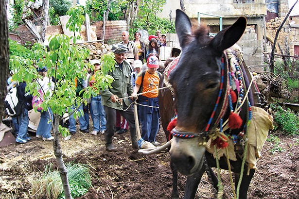 Ecotourism-lebanon-traveler