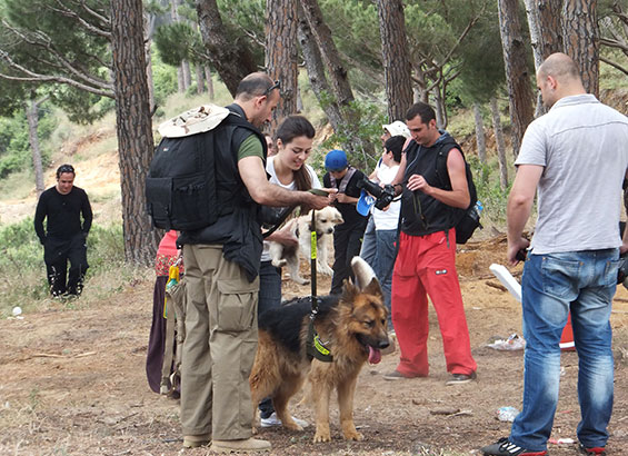 pet-friendly-hiking-lebanon-traveler