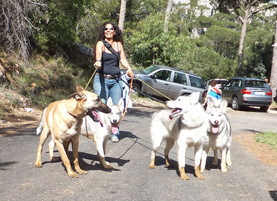 pet-friendly-hiking-lebanon-traveler