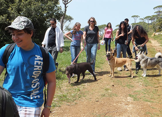 pet-friendly-hiking-lebanon-traveler
