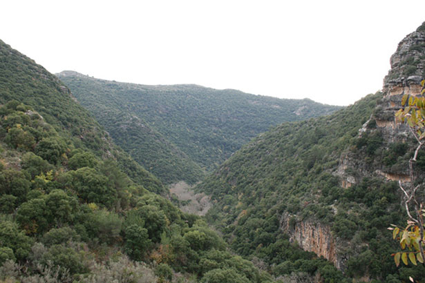 Qalaat-Abou-el-Hassan-Fortress-lebanon-traveler