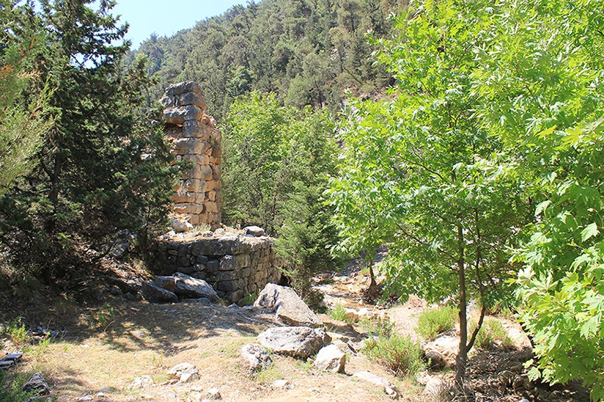 Lebanon's LesserKnown Forests Lebanon Traveler