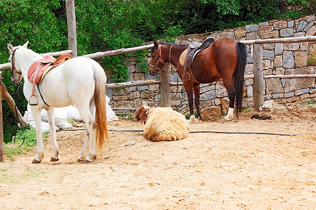 Bzebdine-hidden-valley-ranch-lebanon-traveler