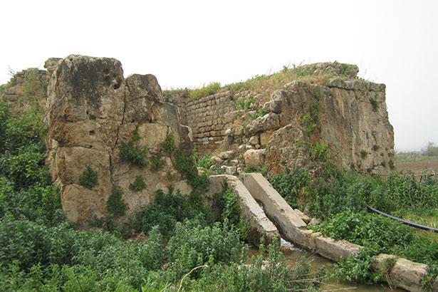 tyre-nature-reserve-lebanon-traveler