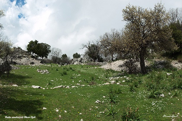 jabal-moussa-reserve-lebanon-traveler