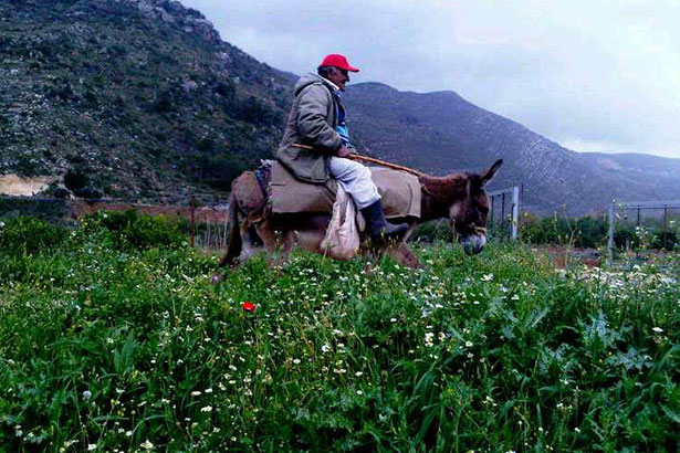 maison-de-la-foret-lebanon-traveler