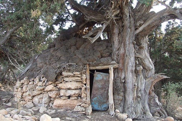 lazaab-mount-hermel-lebanon-traveler