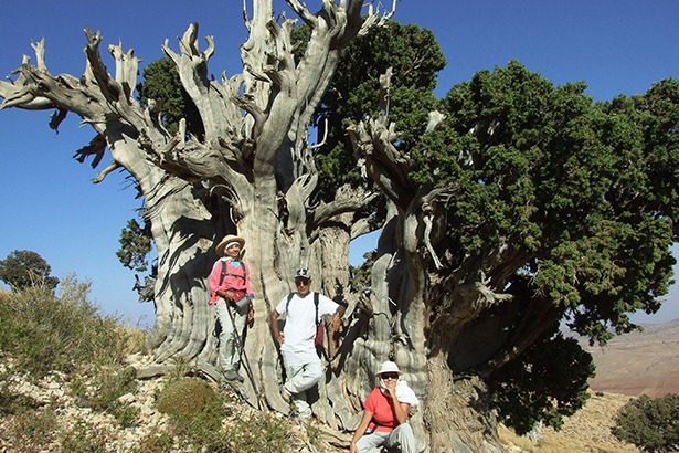 lazzab-mount-hermel-lebanon-traveler