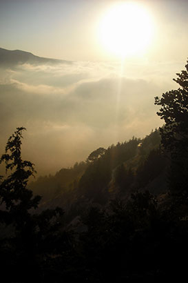 quadisha-valley-lebanon-traveler