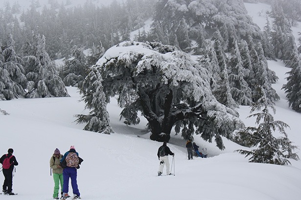 snowshoe-adventures-lebanon-traveler