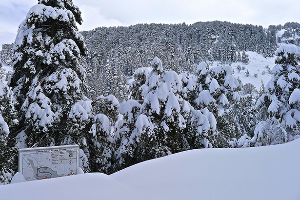 snowshoe-adventures-lebanon-traveler