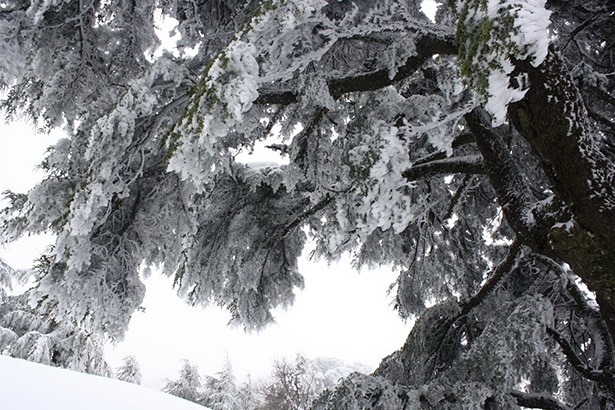 snowshoe-adventures-lebanon-traveler