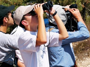 bird-watching-lebanon-traveler