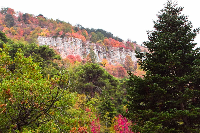 Ehden-Nature-lebanon-traveler