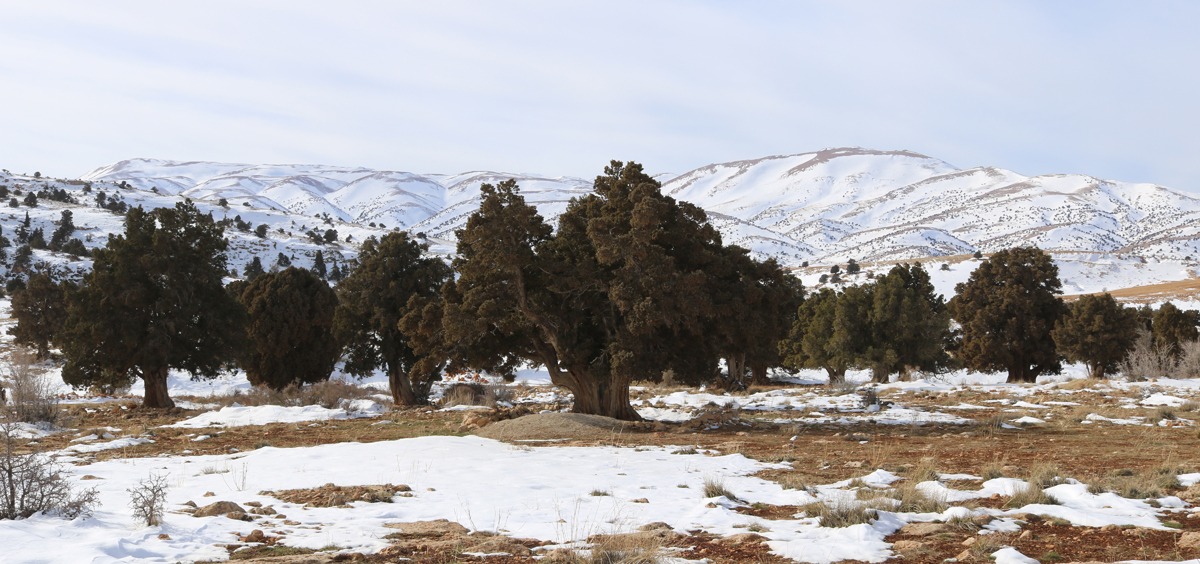 Hermel-lebanon-traveler