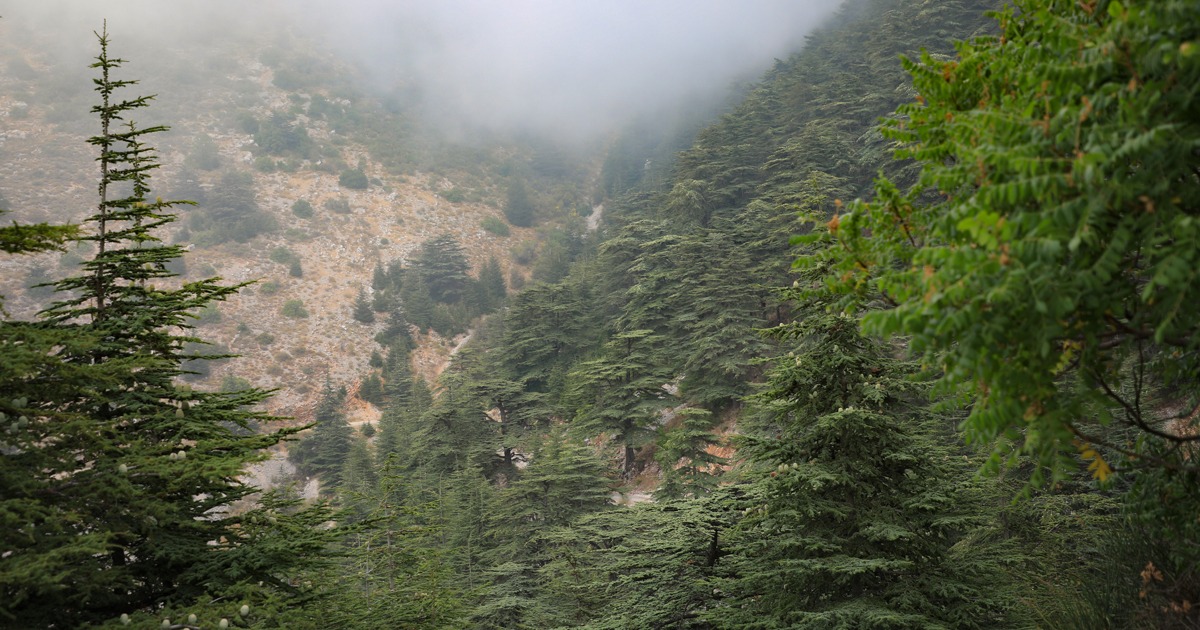 Deir el-qamar-lebanon-traveler