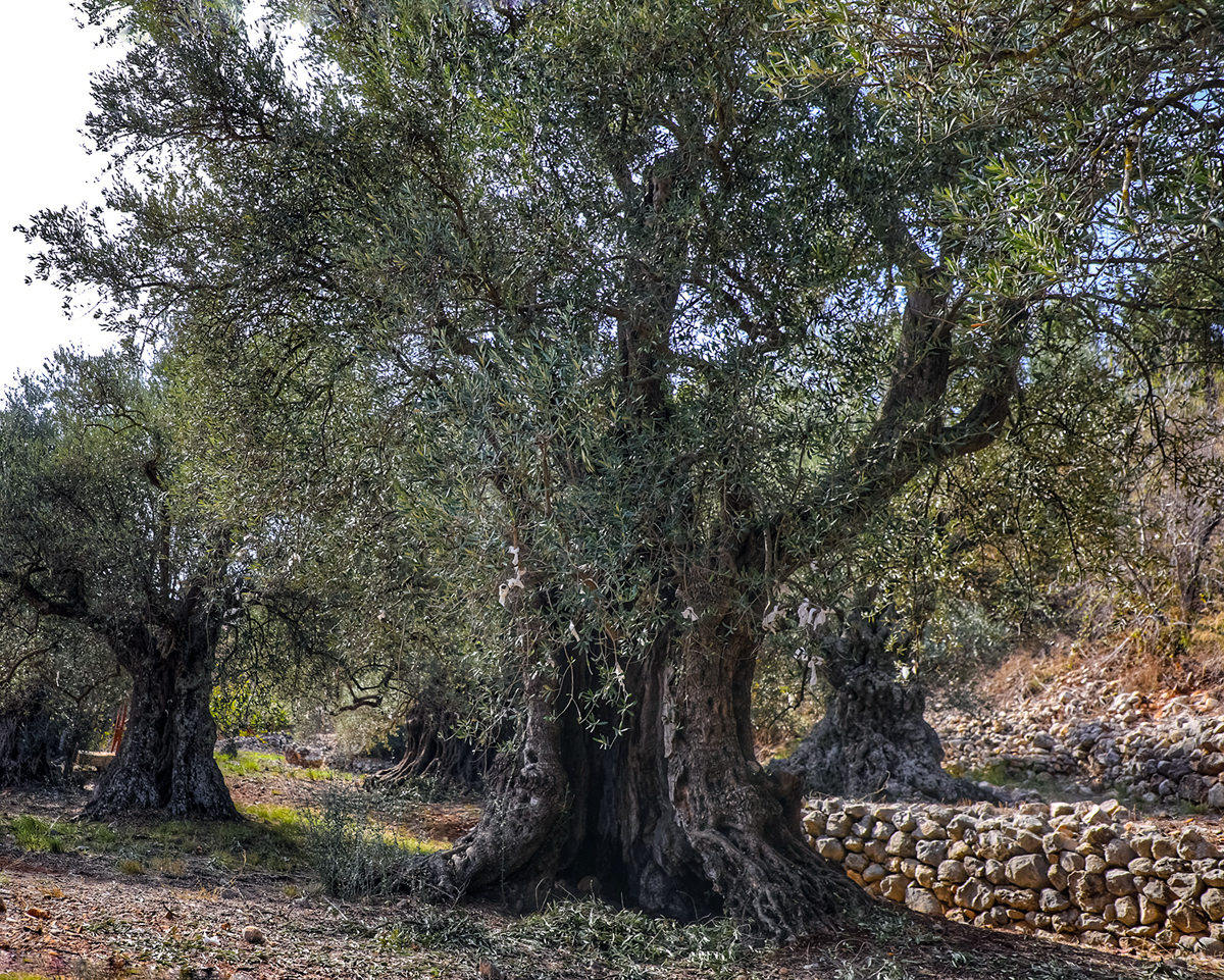 kawkaba-lebanon-traveler