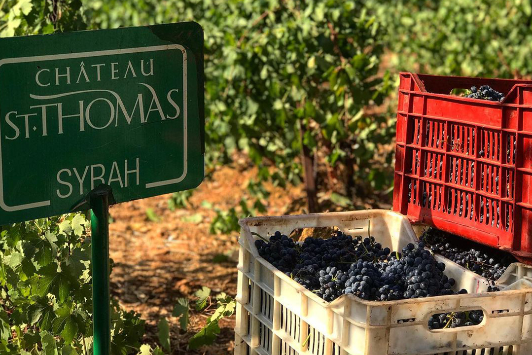 Qab-Elias-chateau-saint-thomas-lebanon-traveler