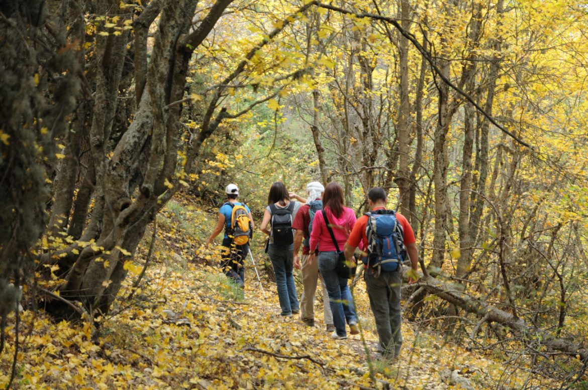 6 Weekend Hikes To Soothe The Mind Lebanon Traveler
