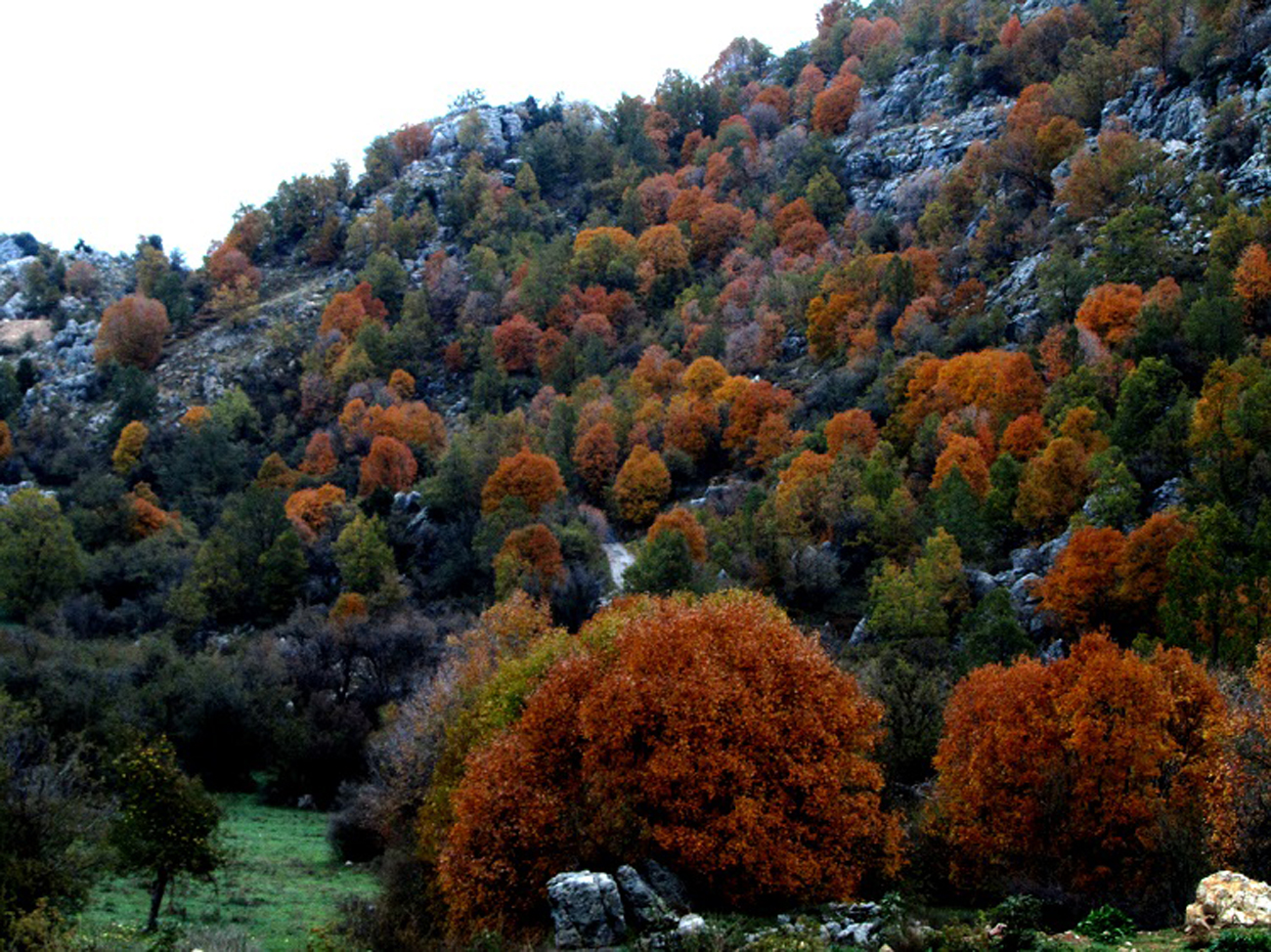 hiking-in-ehmej-lebanon-traveler