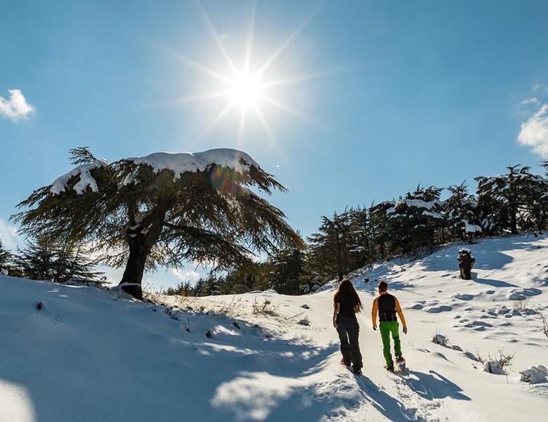 places to visit in lebanon winter