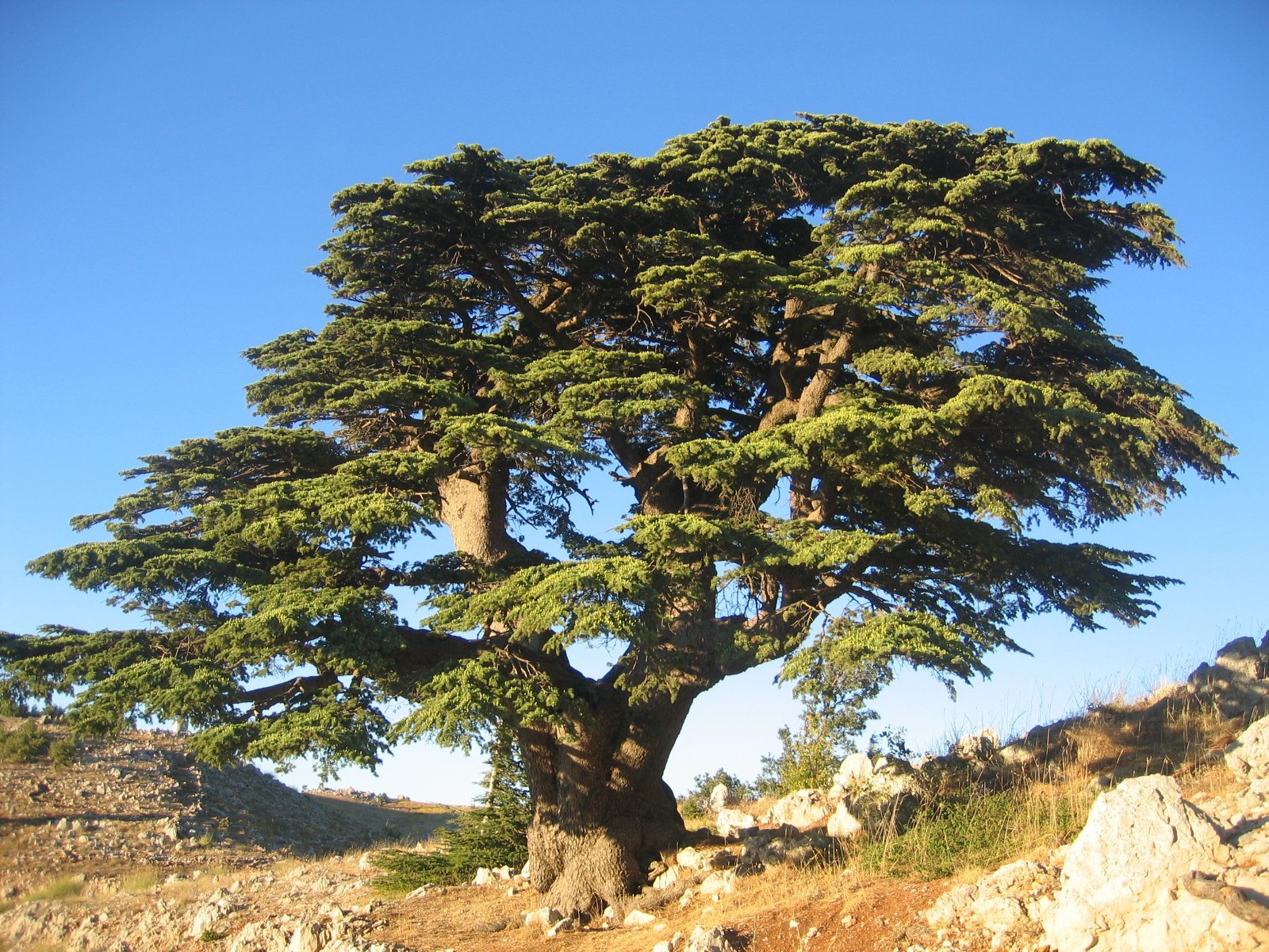 10-things-to-do-in Chouf-lebanon-traveler