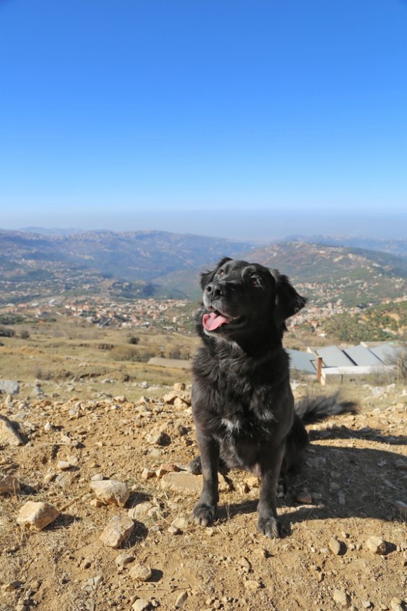 15 of the Most Epic Weekend Events in Lebanon Lebanon Traveler