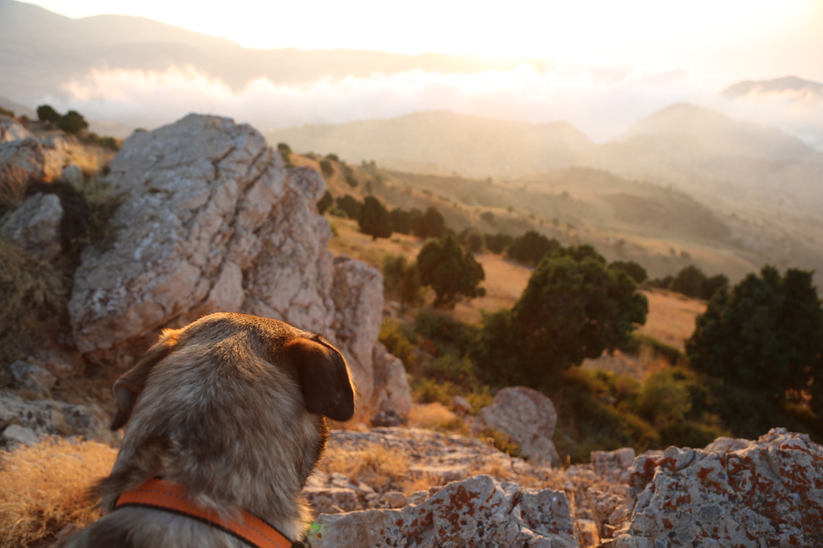 11-hikes-to-get-you-closer-to-nature-lebanon-traveler