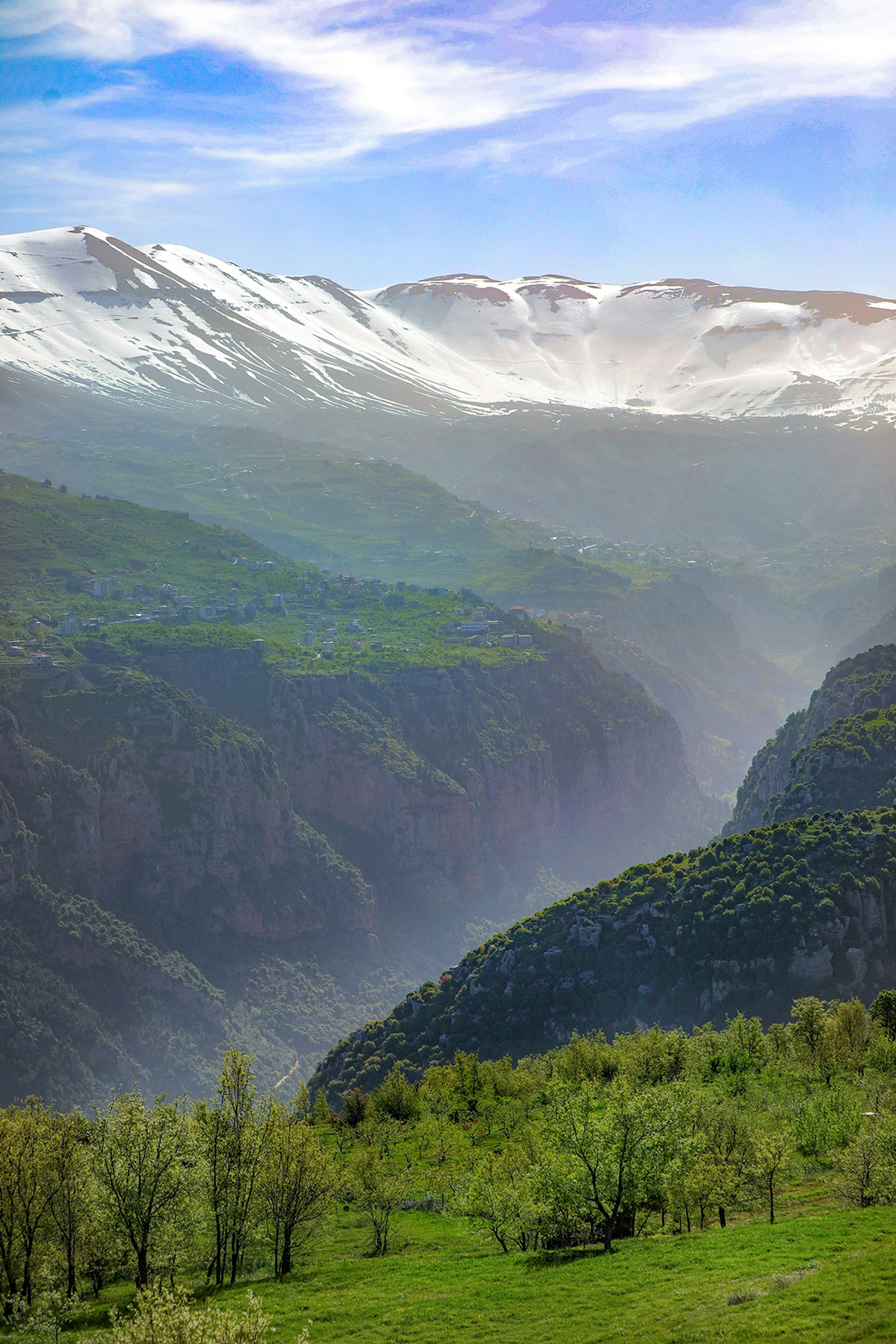 essay about lebanon nature