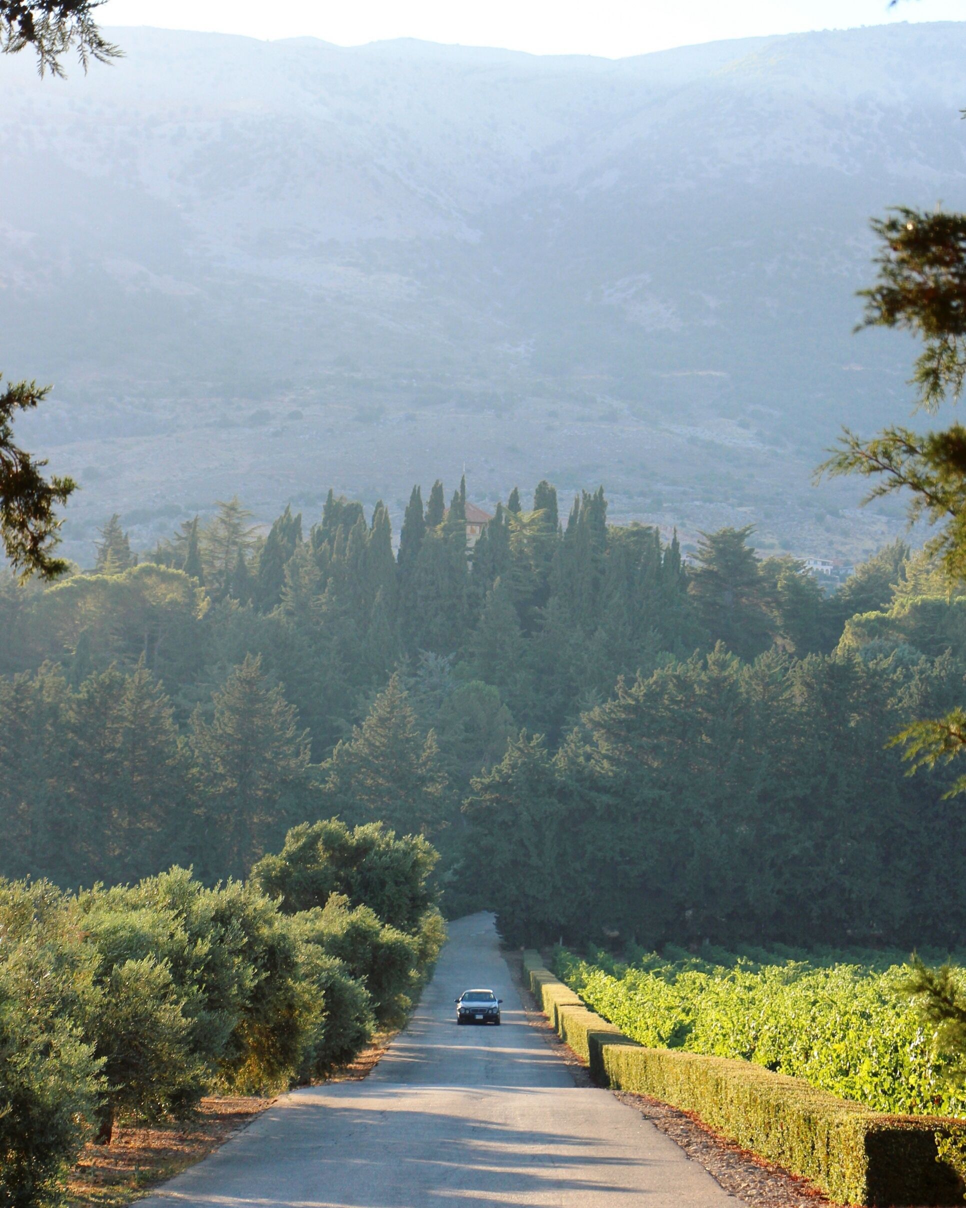 chateau-kefraya-road-trips-lebanon-traveler