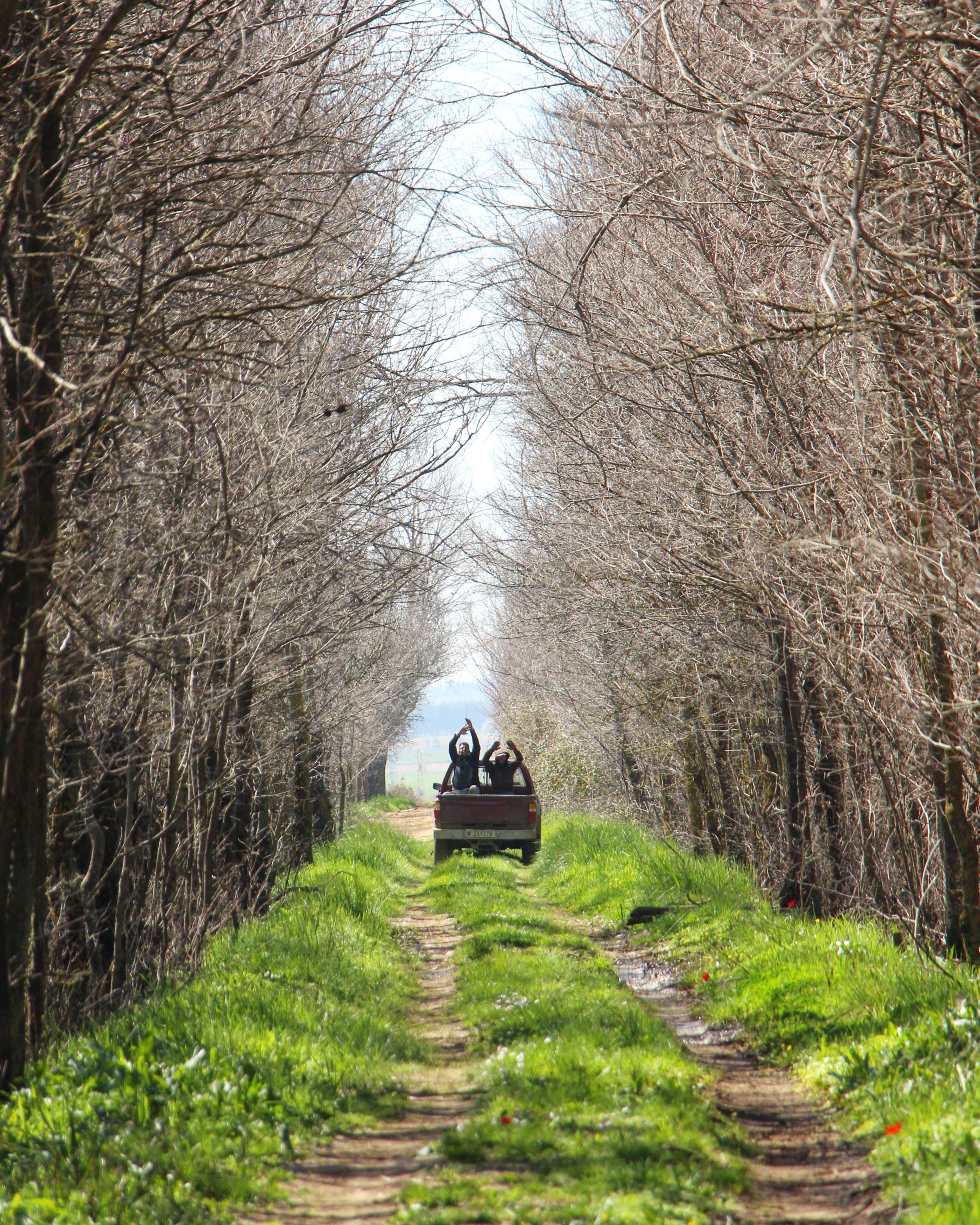 ammiq-bekaa-road-trips-lebanon-traveler