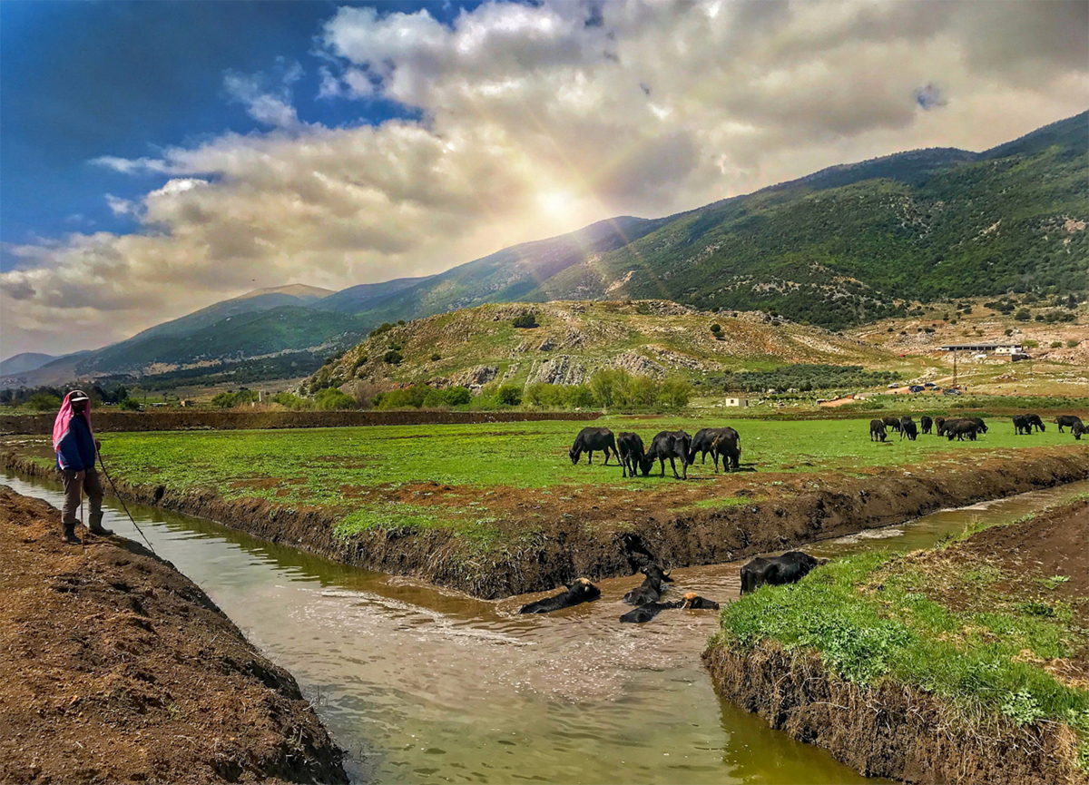 ammiq-sunset-shots-lebanon-traveler