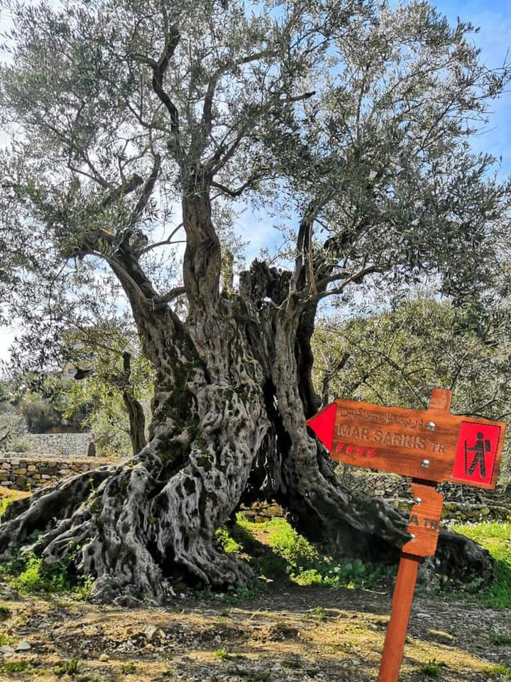 11-hikes-to-get-you-closer-to-nature-lebanon-traveler