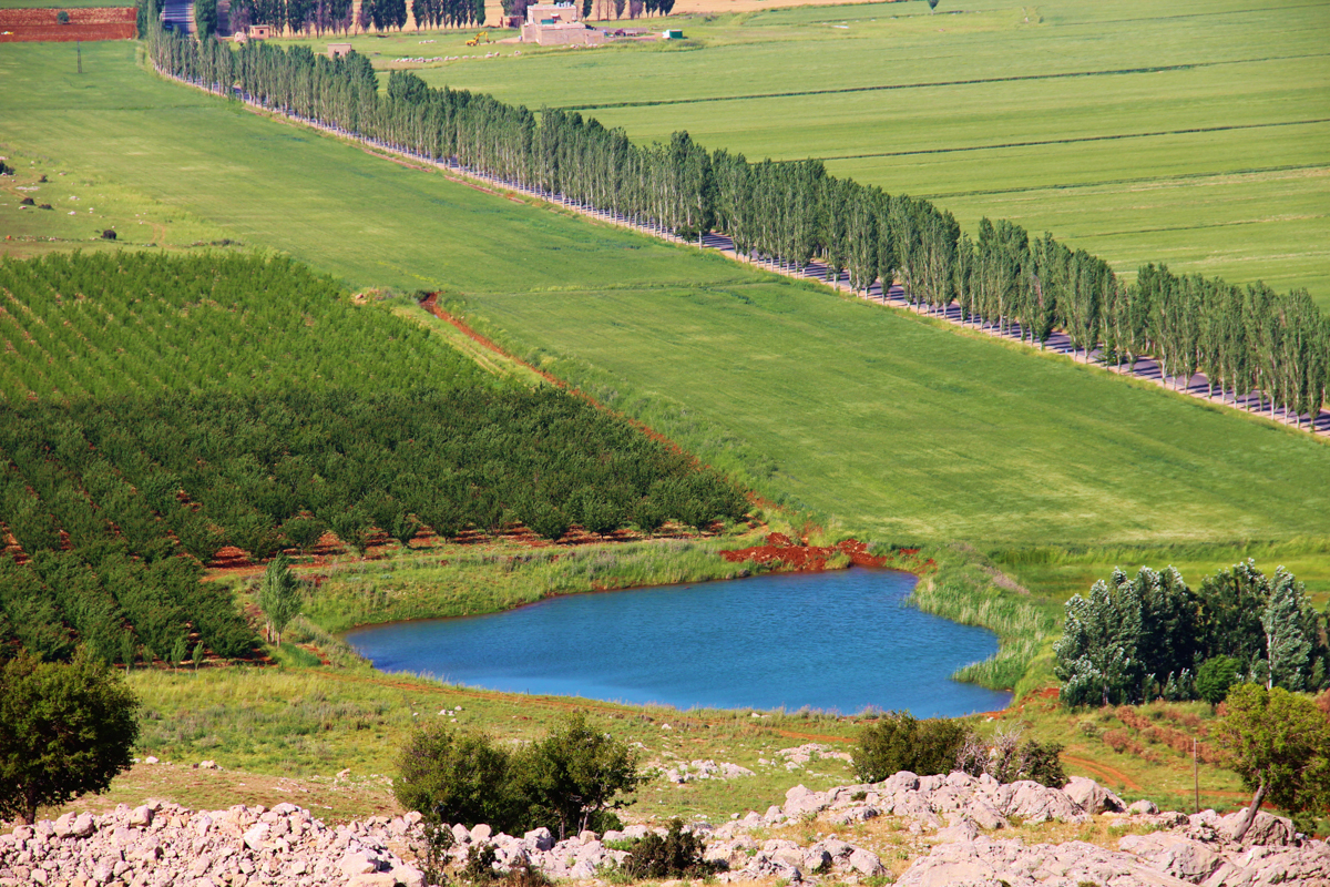 ammiq-bekaa-lebanon-traveler