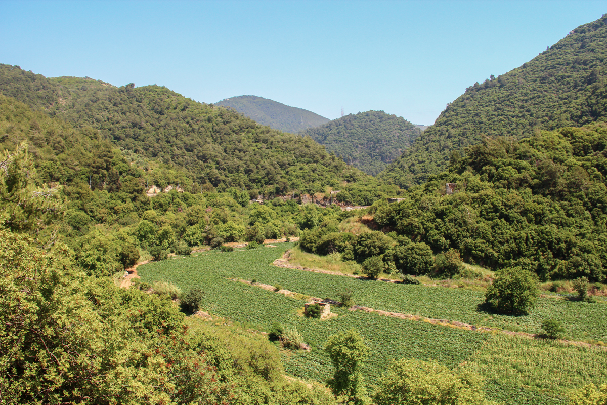 damour-mount-lebanon-lebanon-traveler