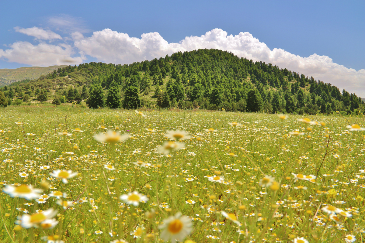 qammouaa-north-lebanon-lebanon-traveler