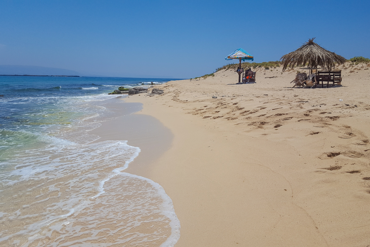 palm-island-lebanon-traveler