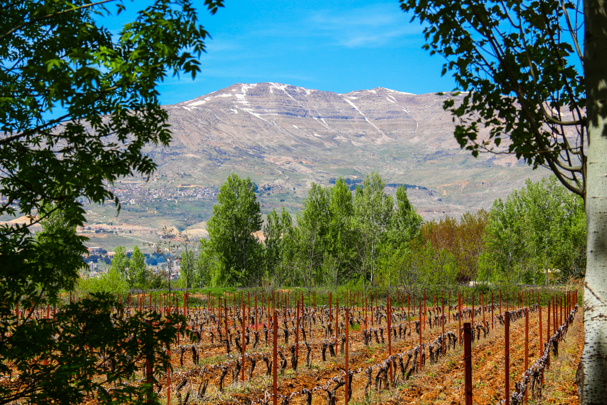 taanayel-bekaa-lebanon-traveler