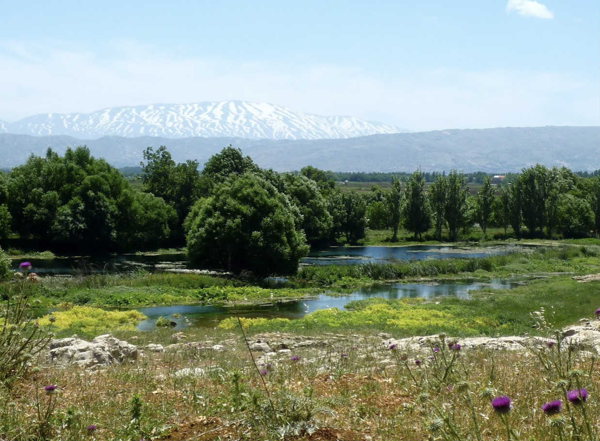 lebanon-traveler-nature-reserves