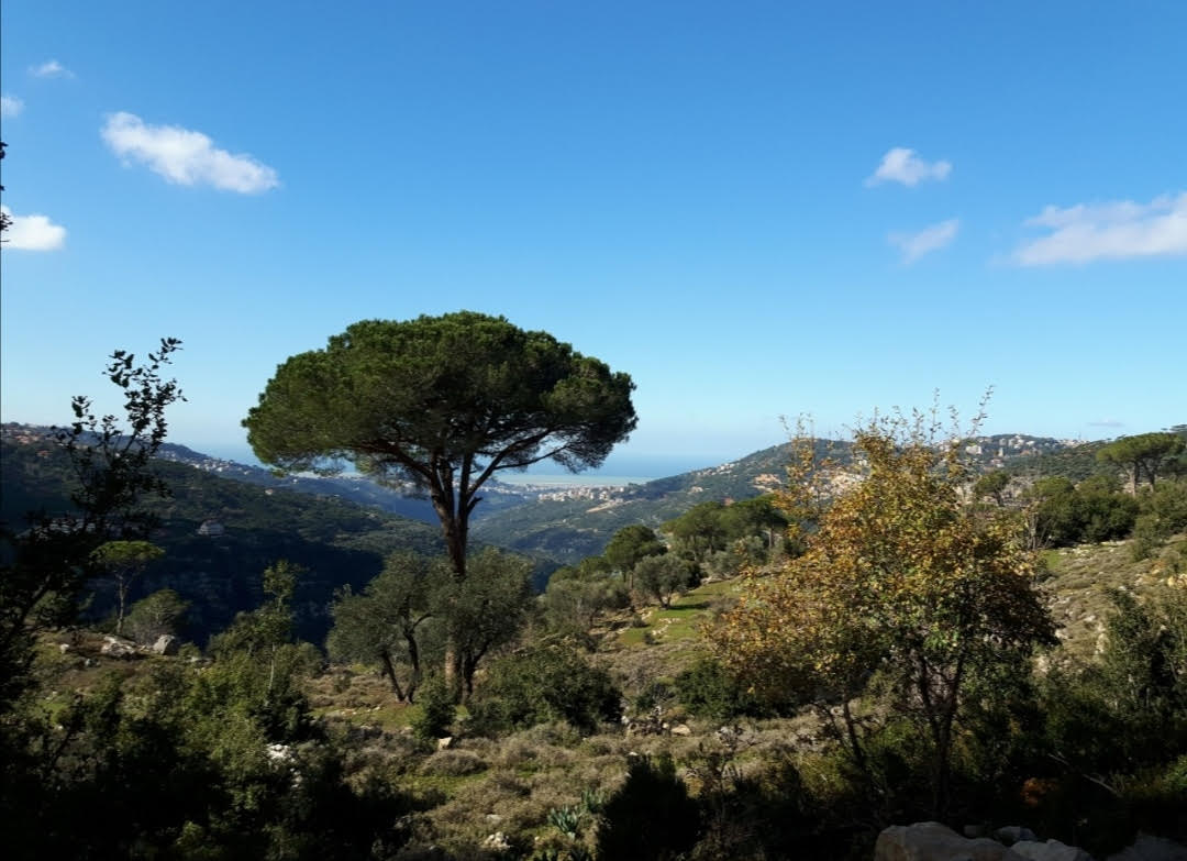 Ras-Al-Maten-lebanon-traveler