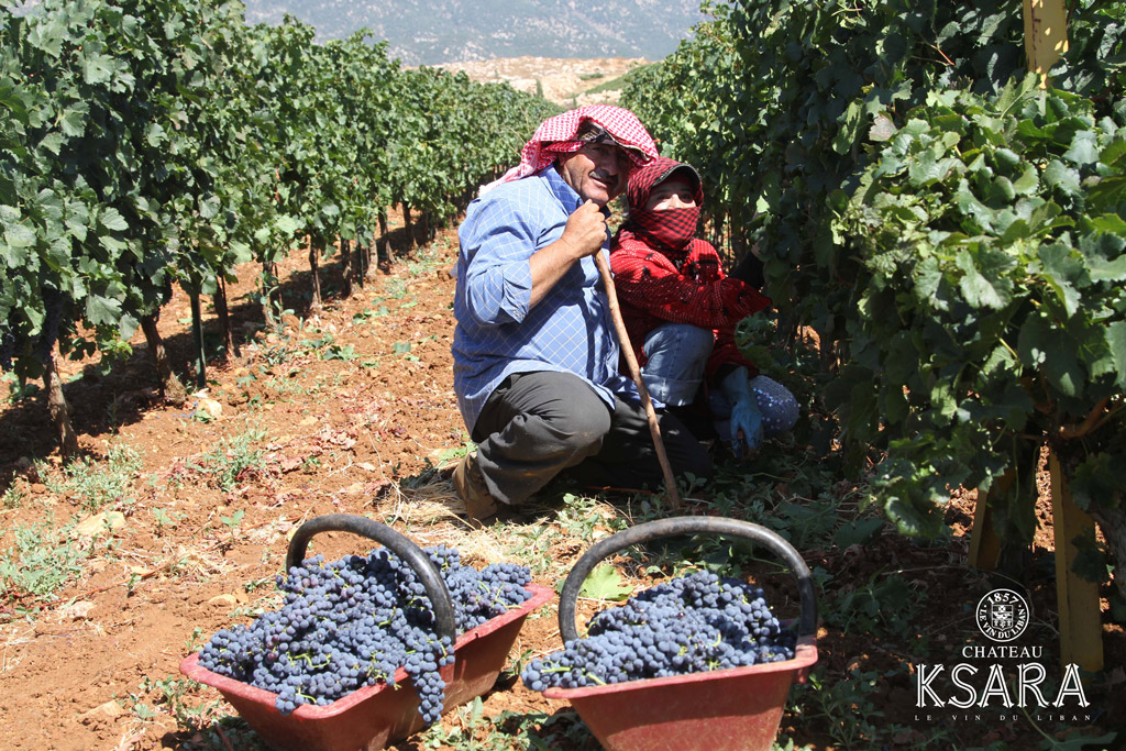 chateau-ksara-caves-winery-vineyard-lebanon-traveler