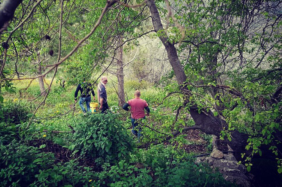 Rechmaya-aley-mini-guide-lebanon-traveler-terroir