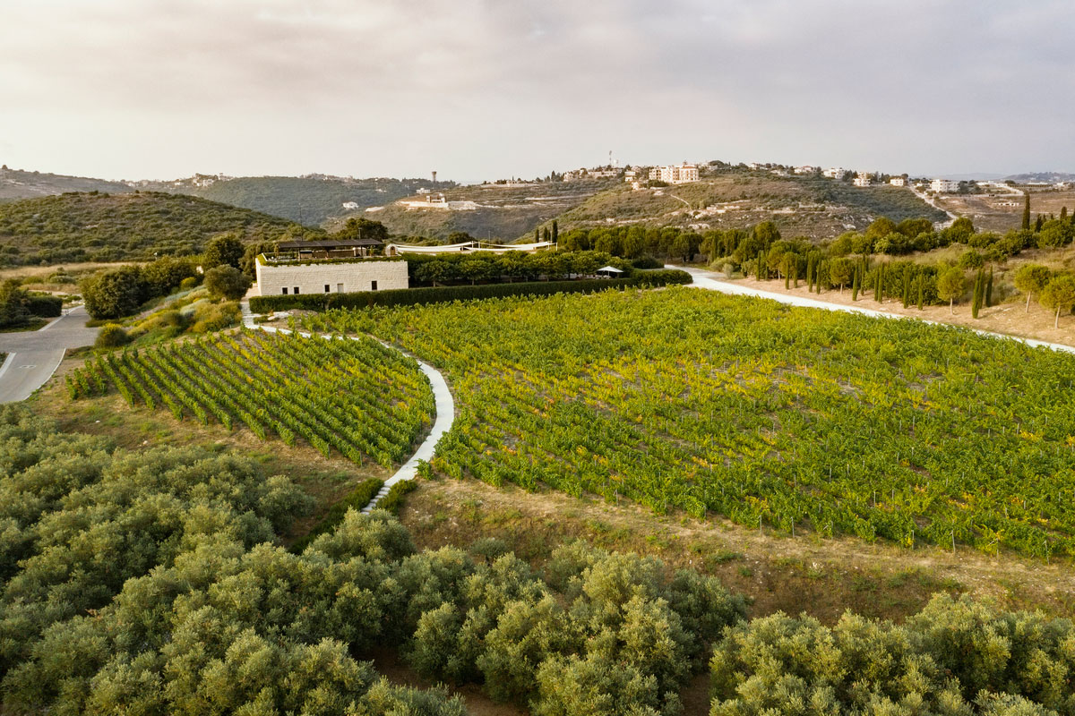 ixsir-winery-lebanon-traveler-grapes-vineyards-wine-3